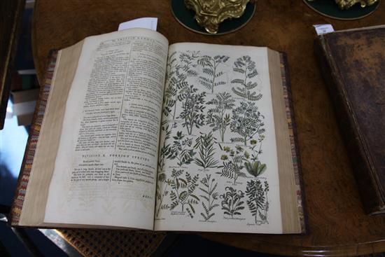 Hill, John, Sir - The British Herbal,